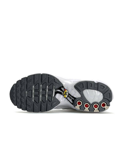 Nike Air Max Plus White Silver