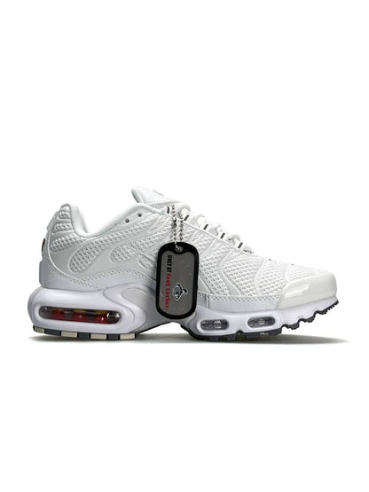 Nike Air Max Plus White Silver