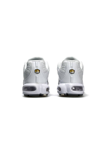 Nike Air Max Plus White Silver