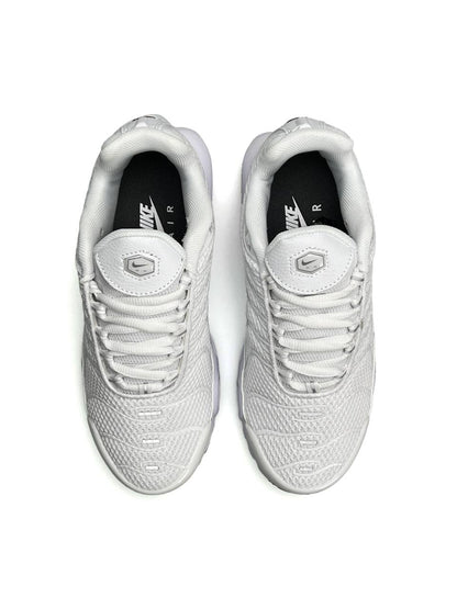 Nike Air Max Plus White Silver