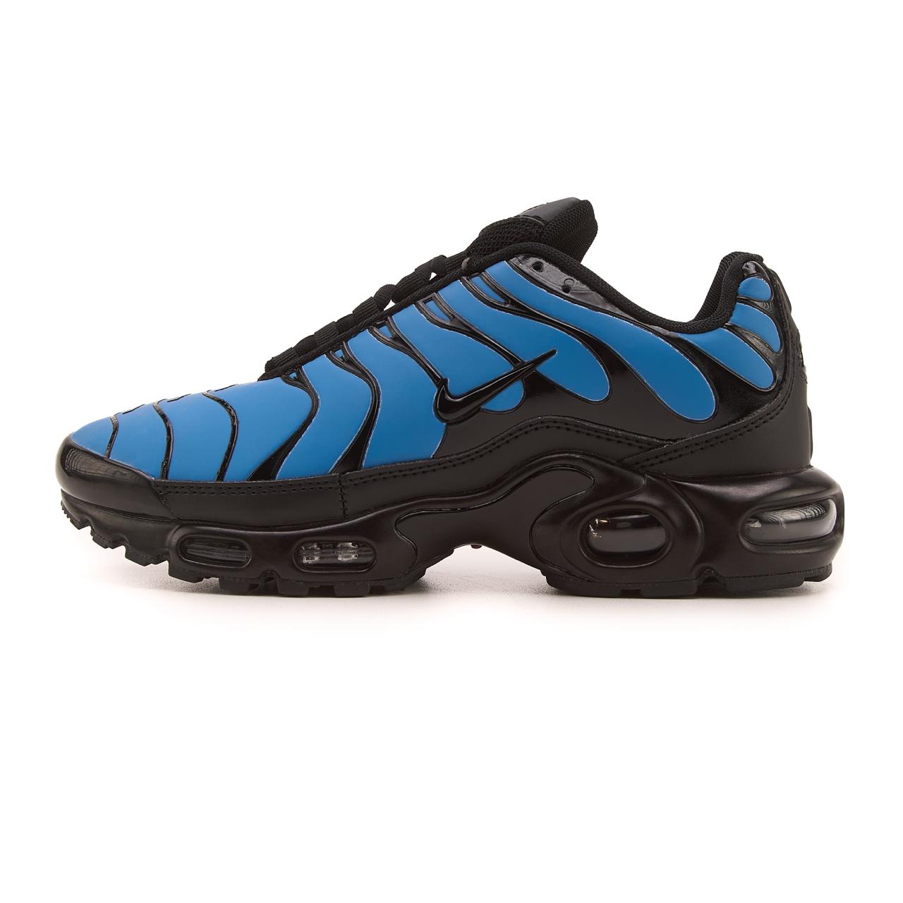 Nike Air Max TN Plus Chameleon Blue