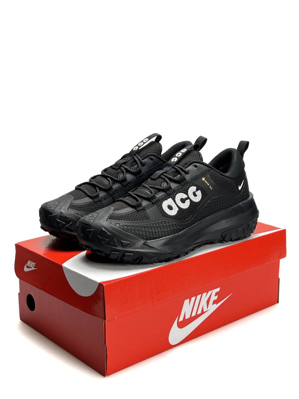 Nike ACG Mountain Fly 2 Low Gore-Tex Black White