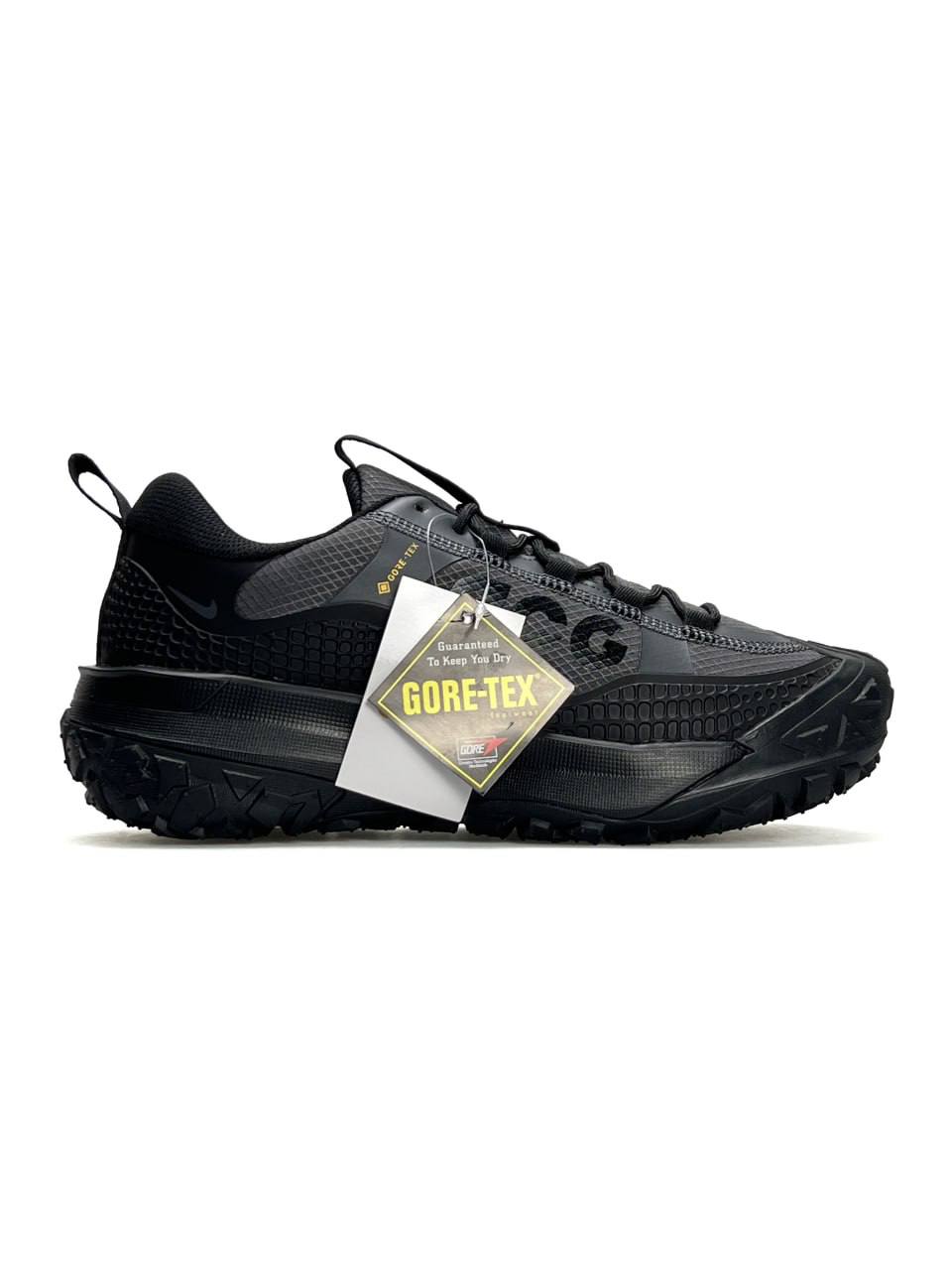 Nike ACG Mountain Fly 2 Low Gore-Tex Black Grey