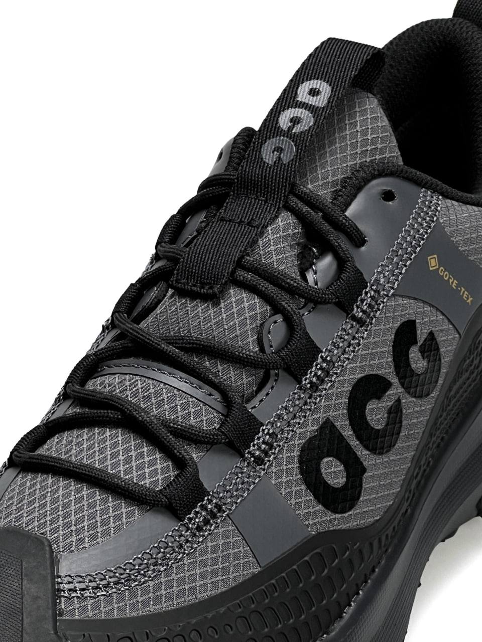 Nike ACG Mountain Fly 2 Low Gore-Tex Black Grey