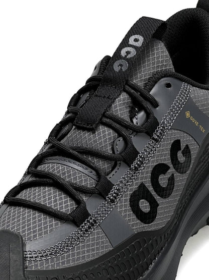 Nike ACG Mountain Fly 2 Low Gore-Tex Black Grey