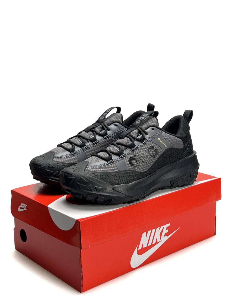 Nike ACG Mountain Fly 2 Low Gore-Tex Black Grey