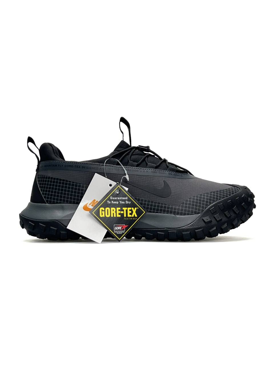Nike ACG Mountain Fly Low Gore-Tex Dark Grey