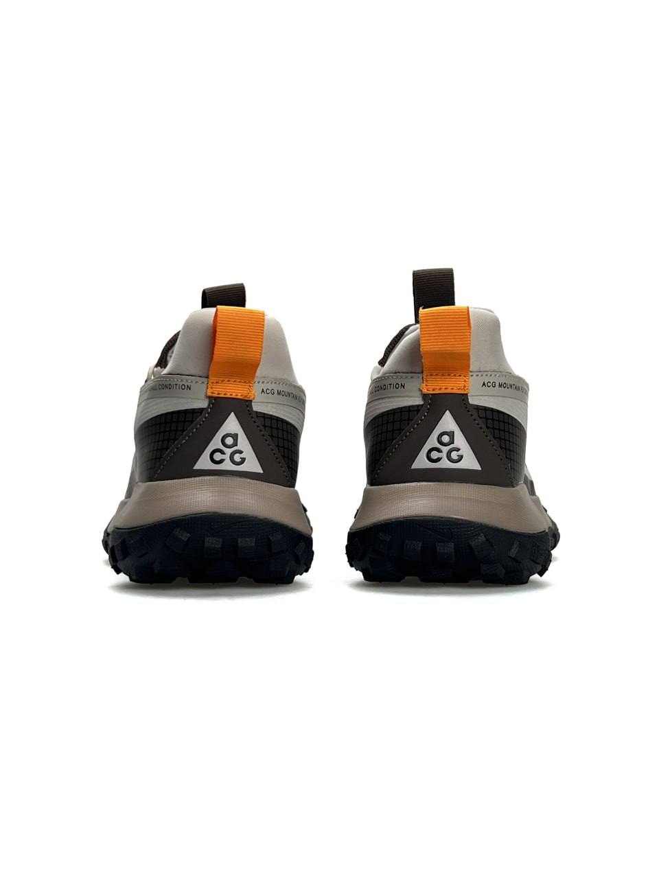 Nike ACG Mountain Fly Low Gore-Tex Beige Brown
