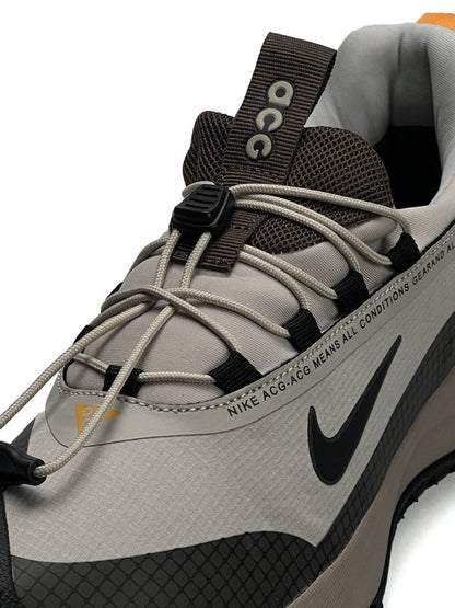 Nike ACG Mountain Fly Low Gore-Tex Beige Brown