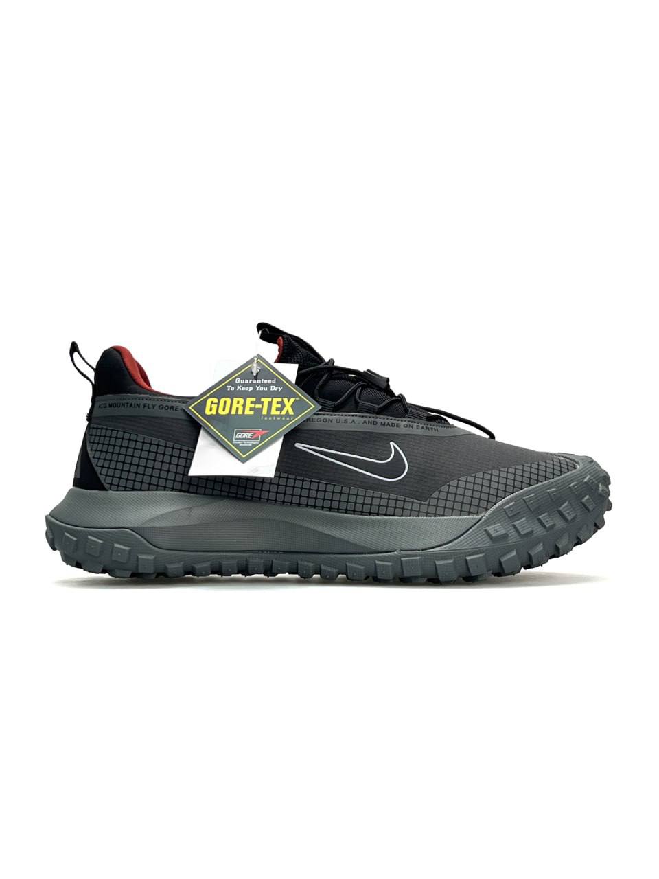 Nike ACG Mountain Fly Low Gore-Tex Grey