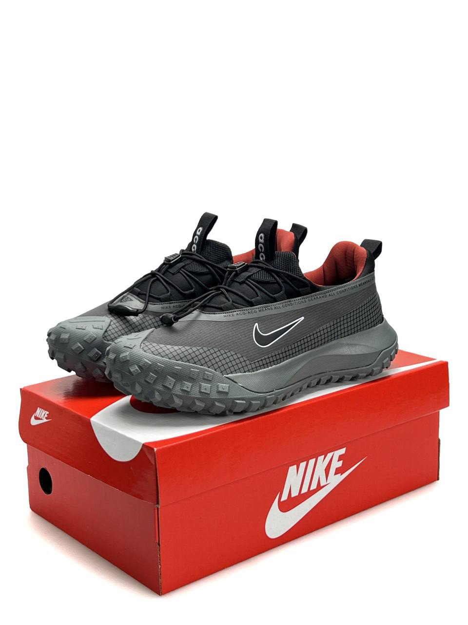 Nike ACG Mountain Fly Low Gore-Tex Grey