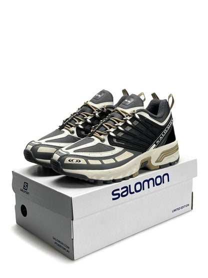 Salomon ACS Pro GTX (Gore-Tex) Grey Beige Black