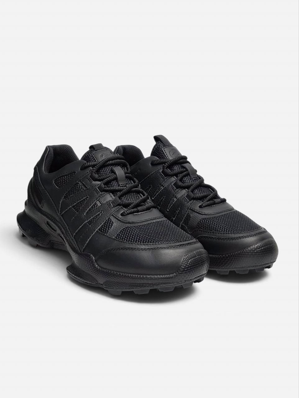 Ecco Biom C-Trail Black