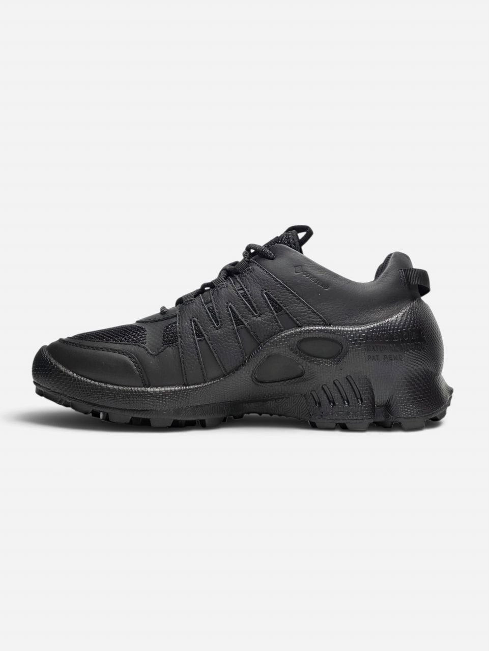 Ecco Biom C-Trail Black
