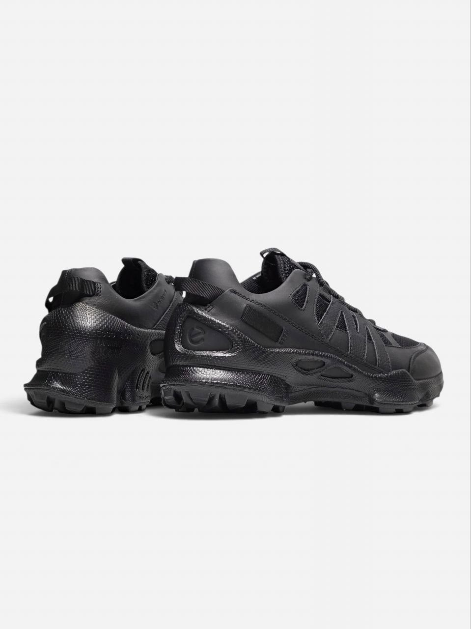 Ecco Biom C-Trail Black