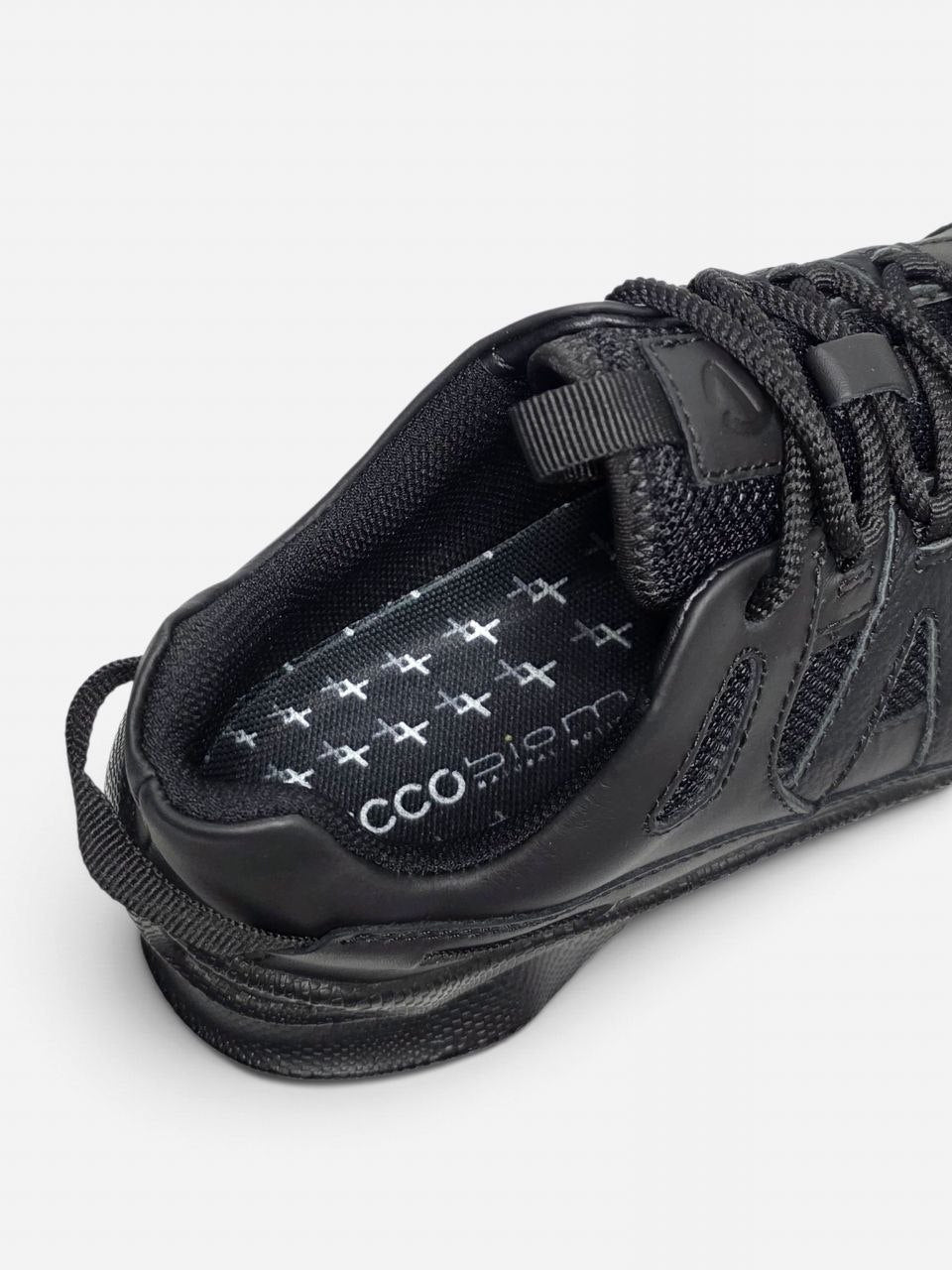 Ecco Biom C-Trail Black
