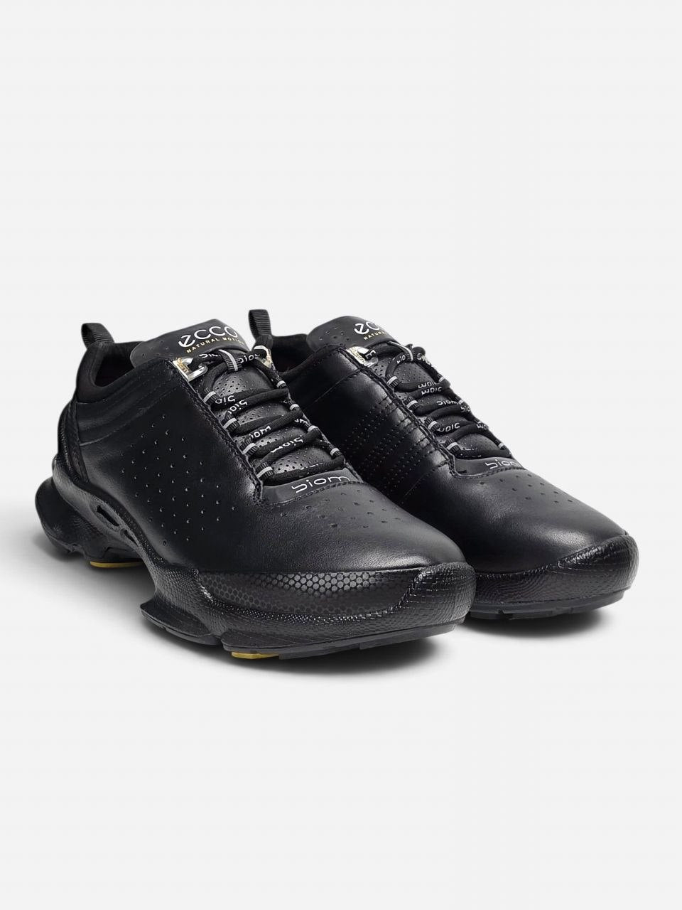 Ecco Biom Offroad Black
