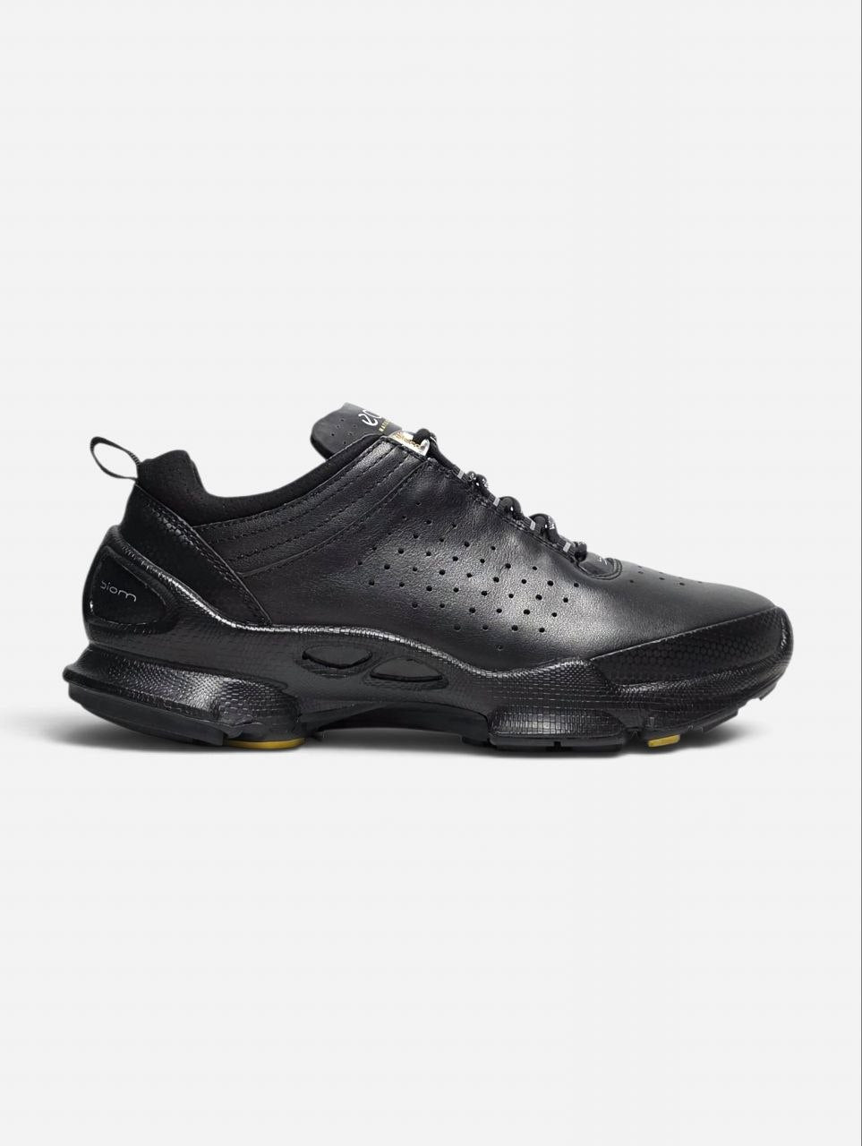 Ecco Biom Offroad Black