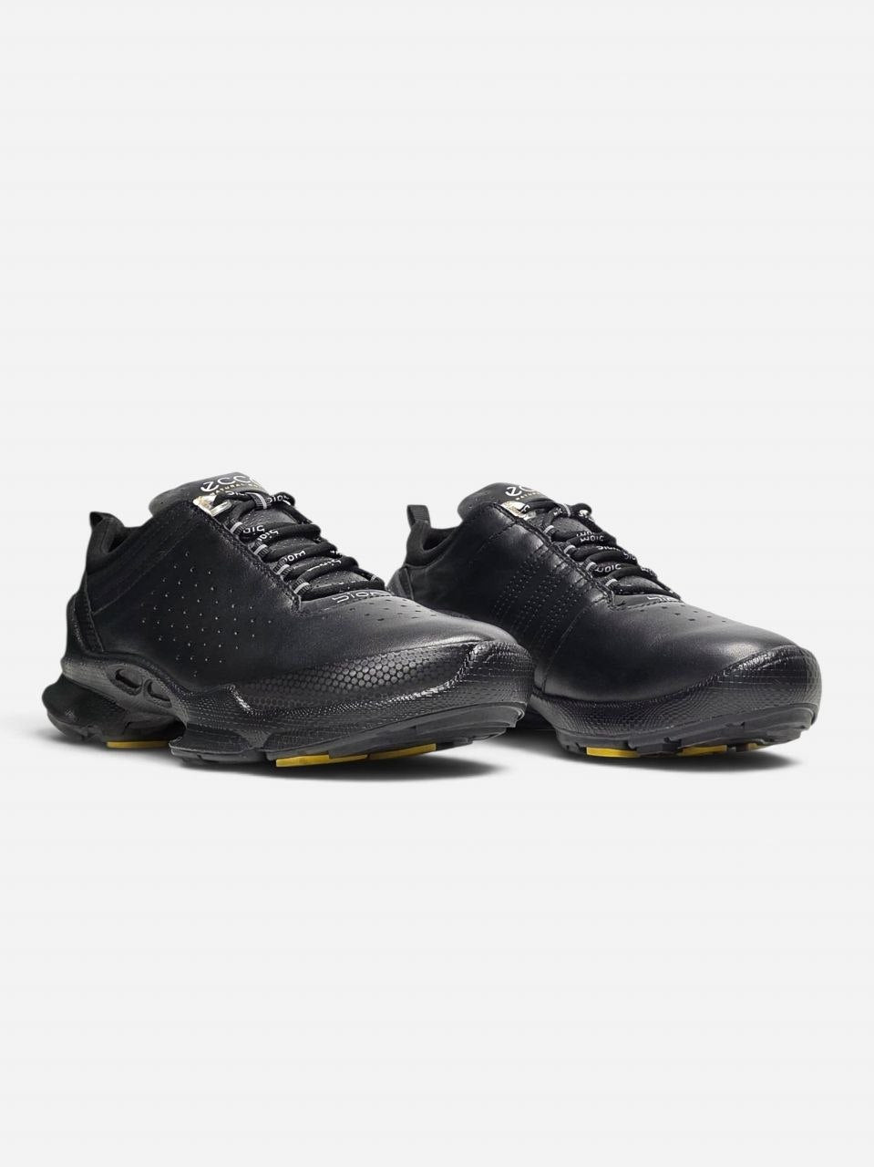 Ecco Biom Offroad Black