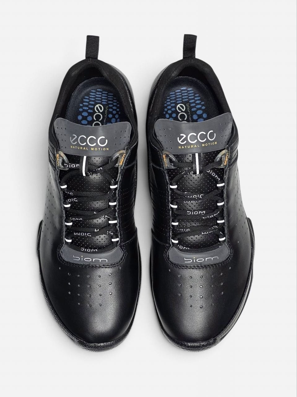 Ecco Biom Offroad Black