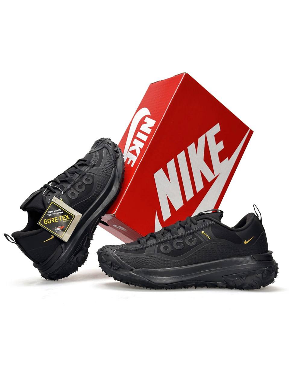 Nike ACG Mountain Fly 2 Low GTX Gore-Tex Black